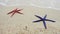 Two starfish on sandy beach in waves