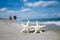 Two starfish on sea ocean beach in Florida, soft gentle sunrise