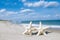 Two starfish on sea ocean beach in Florida, soft gentle sunrise