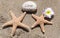 Two Starfishes with rock on the beach