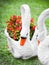 Two statues of swans and flower pots