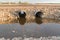 Two steel culverts surrounded by rocks