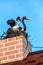 Two storks are sitting in a nest on a brick chimney stack on a red tiled roof.