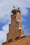 Two storks stand on the top of a red brick tower in the middle of the town of Tangermunde