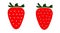Two strawberries illustration