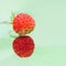 Two Strawberry On A Light Green Background