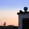 Two stray dogs at sunset. one is on the roof, the other is watching the sunset