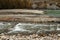 Two streams of a small, turbulent river with stony debris flow to meet another river