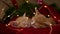 Two striped ginger kittens sleeping with Christmas lights on red. Orange red Cats happy dreams. Holidays and relax