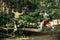 Two strong excited young friends playing outdoors in rope park. Caucasian boys dressed in casual clothes and sneakers at warm