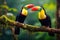 Two stunning and vibrant birds majestically rest side by side on a sturdy tree branch, Two toucans perch on a branch in the