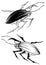 Two stylized beetle