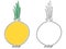 Two stylized contour bulbs with yellow and green spots-tweaks and without. One-line isolated onion.