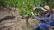 Two successful winemakers gathering harvest of grapes together in vineyard in autumn