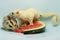 Two sugar gliders are eating watermelon.