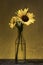 Two sunflowers in a glass vase