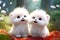 Two super cute and happy white fairy pup babies, charming, fluffy, sweet smile, red love balloon in hand