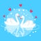 Two swan swimming fall in love couple marriage symbol decorative