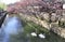 Two swans in Kurashiki canal, Kurashiki city, Japan