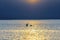 Two swans at sunset teenager swimming in the lake