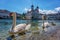 Two swans swimming in clear blue water in Lucerne, Switzerland