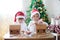 Two sweet boys, brothers, making gingerbread cookies house