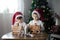 Two sweet boys, brothers, making gingerbread cookies house, decorating at home in front of the Christmas tree