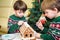 Two sweet boys, brothers, making gingerbread cookies house, decorating at home in front of the Christmas tree, child playing and