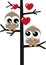 two sweet owls in a tree love