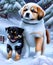 Two sweet puppys in snow