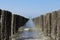 Two symmetric rows of beach poles in the sea in zeeland, holland in spring