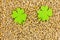 Two symmetrical green leaves of felt large on the background of grains base of Saint Patrick