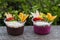 Two takeaway pots of acai with fresh fruit and mint leaves