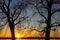 Two tall bare winter trees on the banks of the vast flowing waters of the Mississippi river with blue sky at sunset