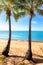 Two tall palm trees on a tropical beach in Australia