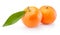 Two tangerines oranges fruit on white background