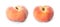 Two tasty flat peaches on white background