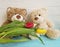Two teddy bear, tulip, wooden friend