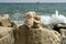 Two teddy bears on sea rock with splashing wave