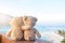 Two teddy bears sitting sea view. Love and relationship concept.