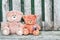 Two Teddy bears toys summer with flowers on a vintage wooden background,