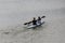 Two teenage girls are kayaking on the pond. Back view in the active phase of the stroke. Toned