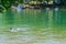 Two teens swimming in the lake