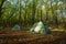 Two tents camp in the middle of a beautiful forest