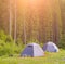 Two tents are in the woods.