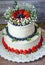 two-tier cream cheese wedding cake with blueberries and strawberries
