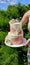 Two-tier sponge cake decorated with buttercream flowers for a wedding.