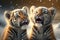 Two tiger cubs in the snow. Generative AI