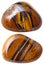 Two Tiger\'s eye (Tigers eye, Tiger eye) gemstones