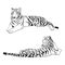 Two tigers black silhouettes on white background chinese tiger simple realistic sketch hand ink drawing vector illustration